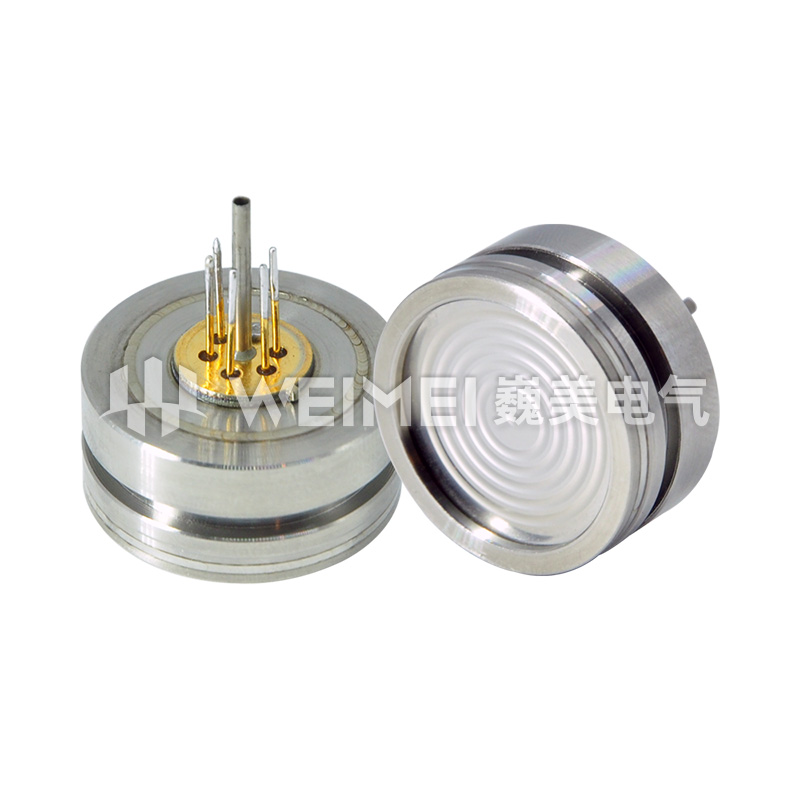 PT124G-3101 ɢѹо